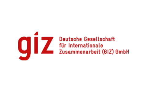 GIZ logo